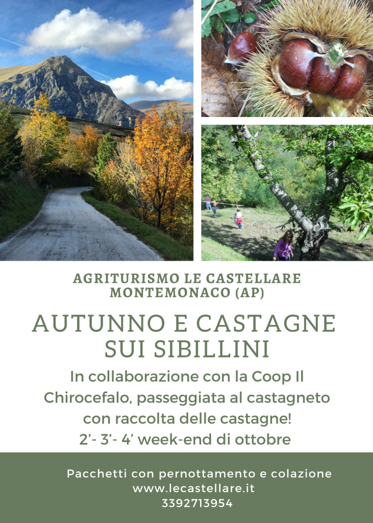 Autunno e Castagne